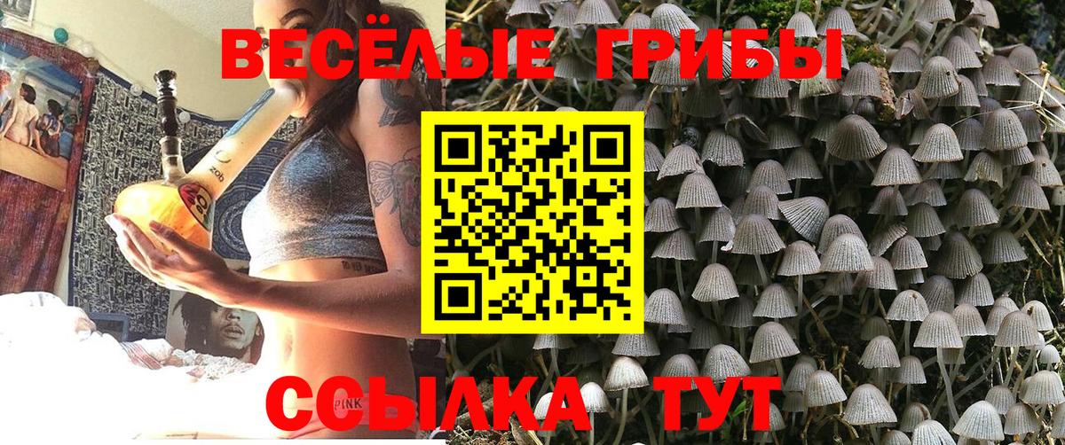 Альметьевск  Галлюциногенные грибы прущие грибы  Псилоцибиновые грибы Psilocybine cubensis  Вход с VPN 