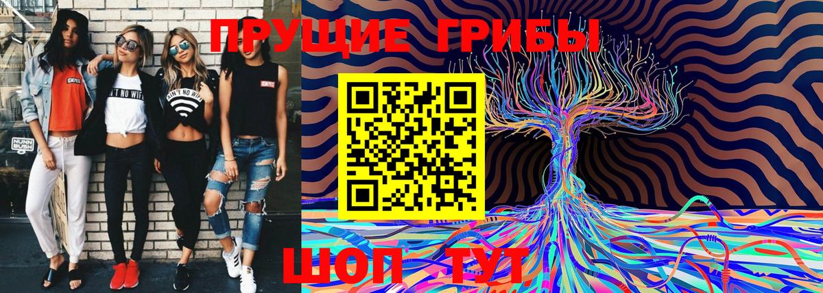 Галлюциногенные грибы Cubensis Альметьевск